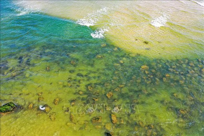 Những tảng đá phủ đầy rêu xanh ẩn hiện trong làng nước biển tạo nên màu sắc đẹp lạ khi thủy triều rút dần.