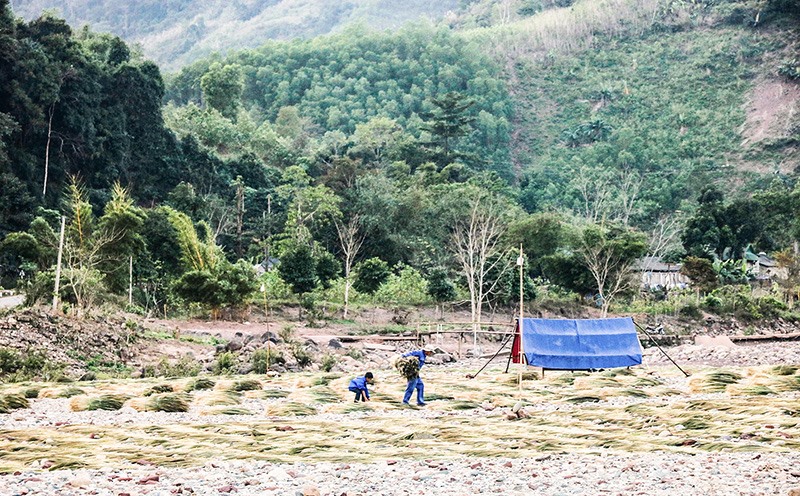 Tranh thủ thời tiết nắng ráo, người dân xã A Ngo, huyện Đakrông phơi đót rừng - Ảnh: N.B​