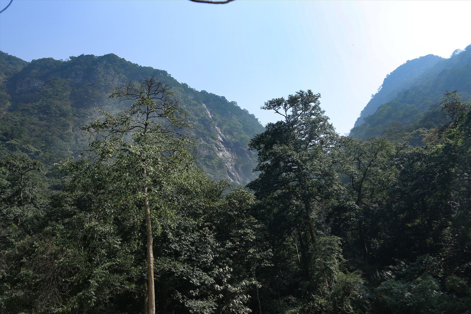 Từ phía xa, du khách có thể thấy khung cảnh hùng vĩ của thác Ba Vòi