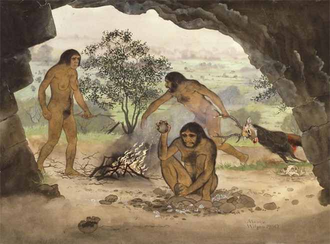 Homo erectus, còn được dịch sang tiếng Việt là trực nhân, là một loài người tuyệt chủng từng sinh sống trong phần lớn khoảng thời gian thuộc thế Pleistocen. Loài này bắt nguồn từ Châu Phi hoặc Châu Á và lan tỏa xa tới Anh, Gruzia, Ấn Độ, Sri Lanka, Trung Quốc và Java.