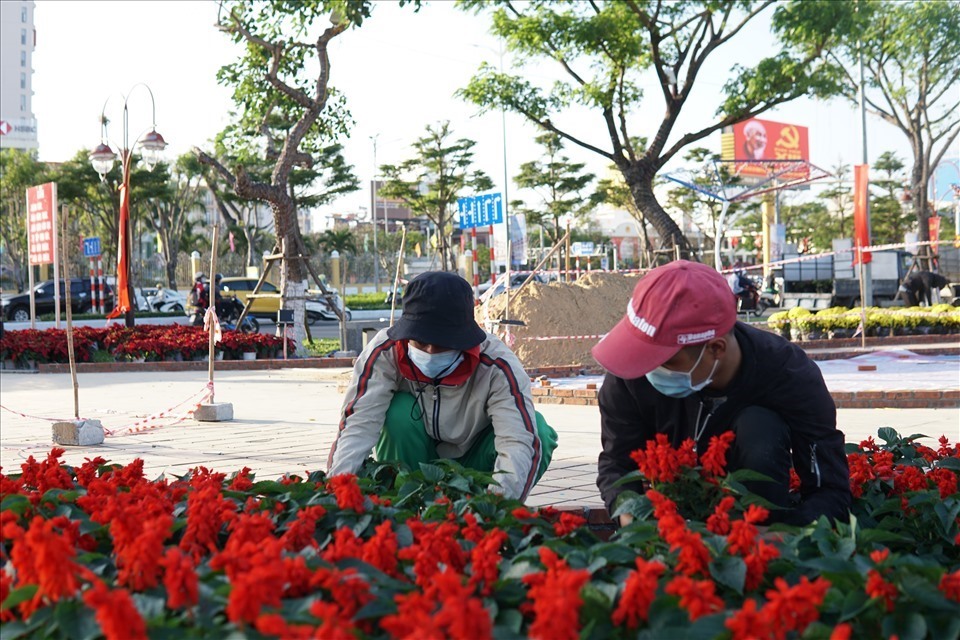 Hàng trăm giỏ hoa đang được trang trí tô điểm cho mùa Tết đến xuân về, các loài hoa được chọn để trang trí ở đường Bạch Đằng phù hợp với khí hậu tại Đà Nẵng Ảnh: LH