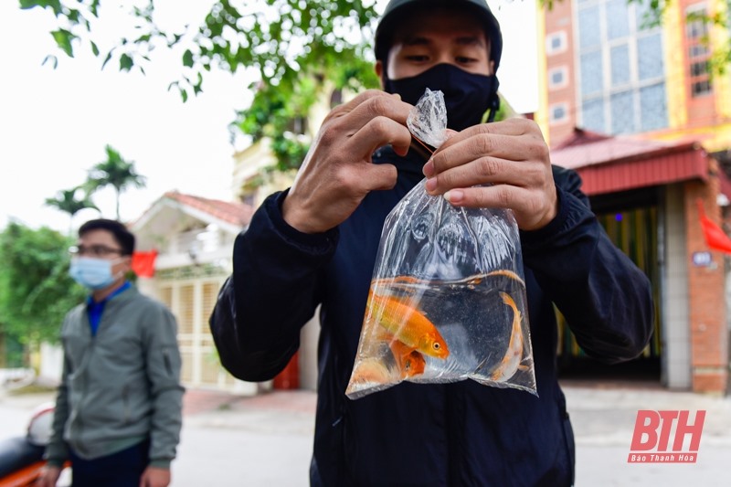 Theo quan niệm, để ông Táo có phương tiện về chầu trời, người Việt thường chuẩn bị 3 con cá chép sống thả trong chậu nước. Sau khi cúng xong, người ta sẽ đem cá phóng sinh xuống ao, hồ hay sông.