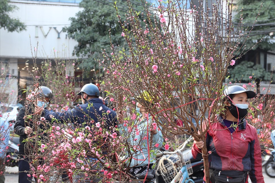 Hoa đào - loài hoa được rất nhiều người dân Việt Nam yêu thích đang được bày bán ở tất cả các chợ hoa xuân.