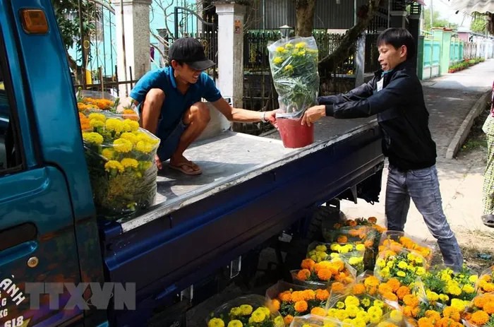 Chuyển hoa từ làng hoa Xáng Mới đến chợ để tiêu thụ. (Ảnh: Hồng Thái/TTXVN)
