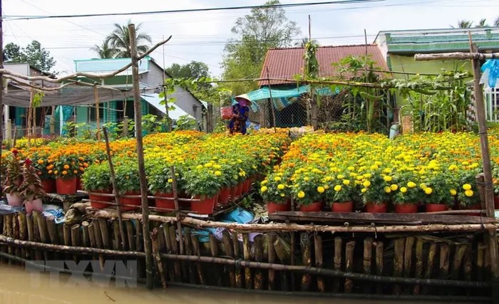 Nằm ven kênh Xáng Mới, làng hoa có nhiều điều kiện phát triển du lịch trong tương lai. (Ảnh: Hồng Thái/TTXVN)