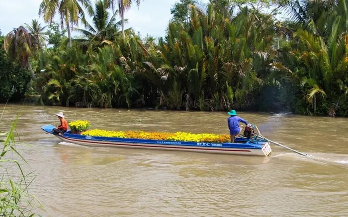 Sản phẩm hoa được vận chuyển từ làng hoa Xáng Mới bằng đường thủy đi các nơi. (Ảnh: Hồng Thái/TTXVN)