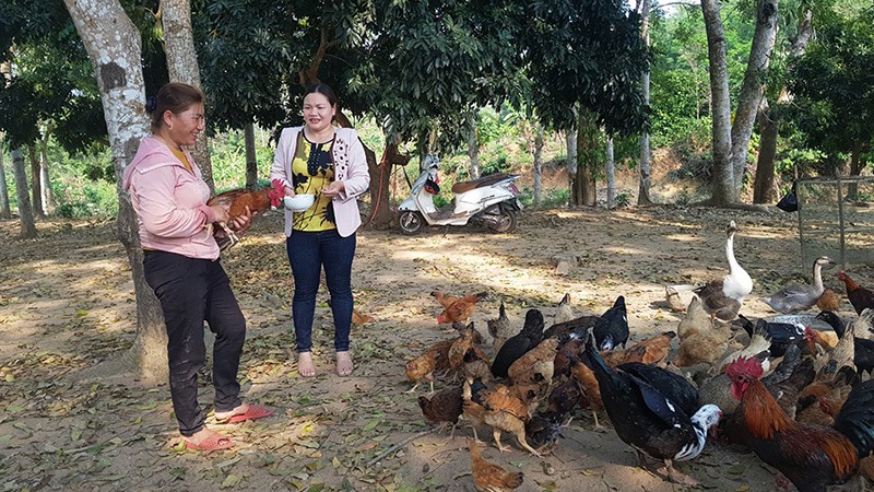 Chị Hồ Thị Ngọc Thuận (bên phải) trao đổi kinh nghiệm trong chăn nuôi với hội viên phụ nữ thị trấn - Ảnh: Bích Liên ​