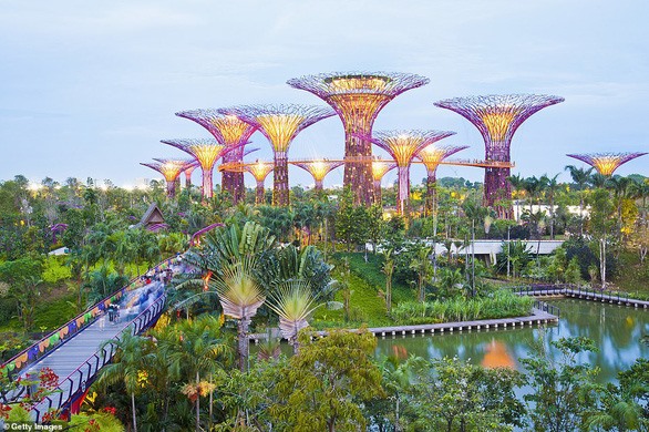 Gardens by the Bay tại Singapore là một công viên thành thị, được khánh thành từ năm 2012. “Đặc sản” của nơi đây là 18 cấu trúc cao được gọi là “siêu cây”. Theo đó, “siêu cây” cao nhất đạt mức 50m. Buổi tối vào khoảng 7 giờ 45 phút tại Gardens by the Bay thường tổ chức chương trình âm nhạc và ánh sáng để du khách thưởng thức.
