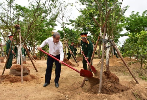 Chủ tịch UBND tỉnh Thừa Thiên Huế - Phan Ngọc Thọ (áo trắng) tham gia trồng mai tại khuôn viên cơ quan Bộ CHQS tỉnh. Ảnh: NM.