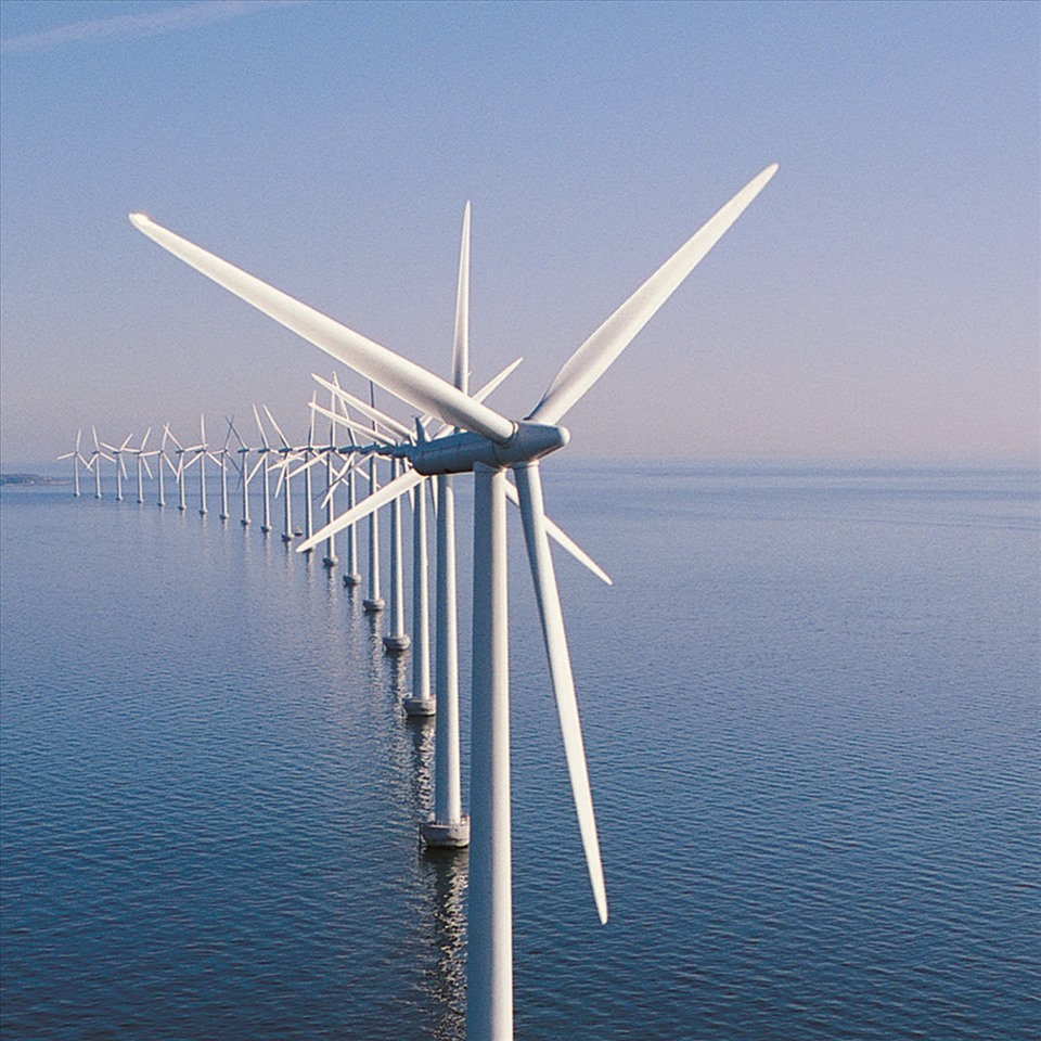 Điện gió có thể bị cắt giảm công suất trong năm 2021. Ảnh minh hoạ: EVN