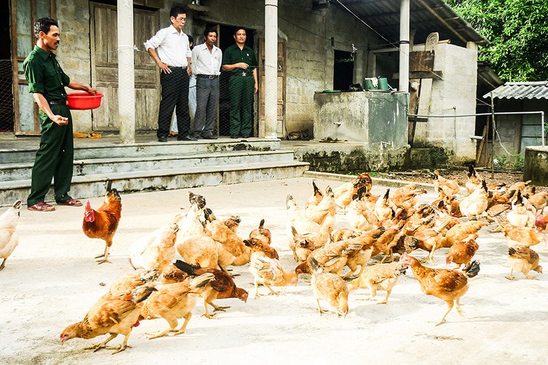 Nhiều hộ nghèo ở Đông Hà thoát nghèo nhờ được tiếp cận các nguồn lực hỗ trợ để ổn định sinh kế, thu nhập - Ảnh: T.T​