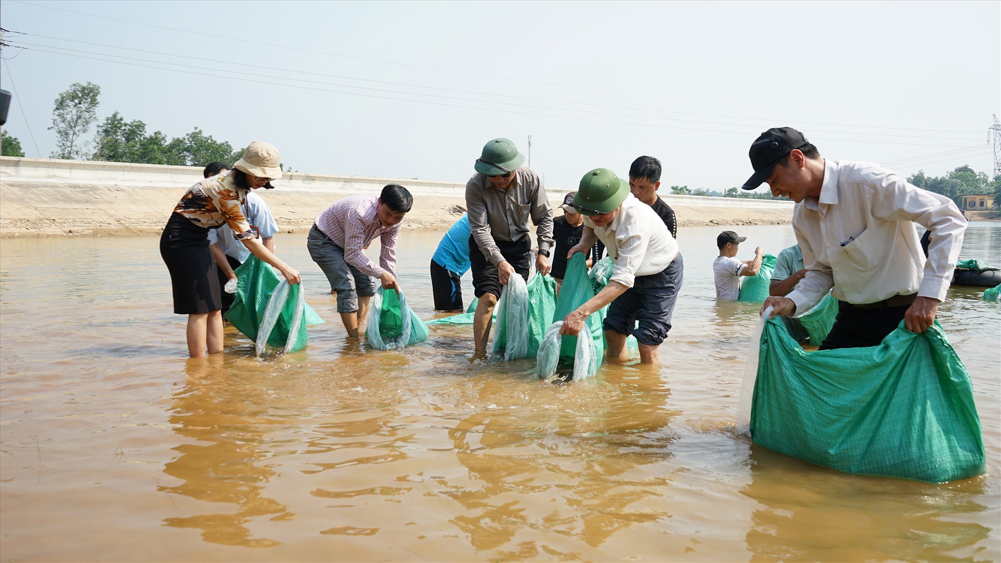 Thả cá giống bổ sung, tái tạo nguồn lợi thủy sản tại hồ thủy lợi Phường 4, thành phố Đông Hà - Ảnh: L.A