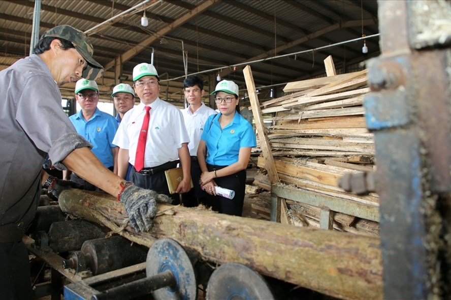 Một sáng kiến áp dụng trong cưa xẻ gỗ tại Công ty TNHH Viên nén năng lượng Cam Lộ đem lại hiệu quả, an toàn. Ảnh: Hưng Thơ