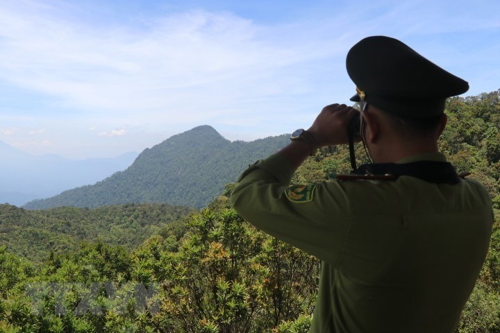 Cán bộ kiểm lâm tuần tra bảo vệ rừng ở Vườn quốc gia Bạch Mã. (Ảnh: Đỗ Trưởng/TTXVN)