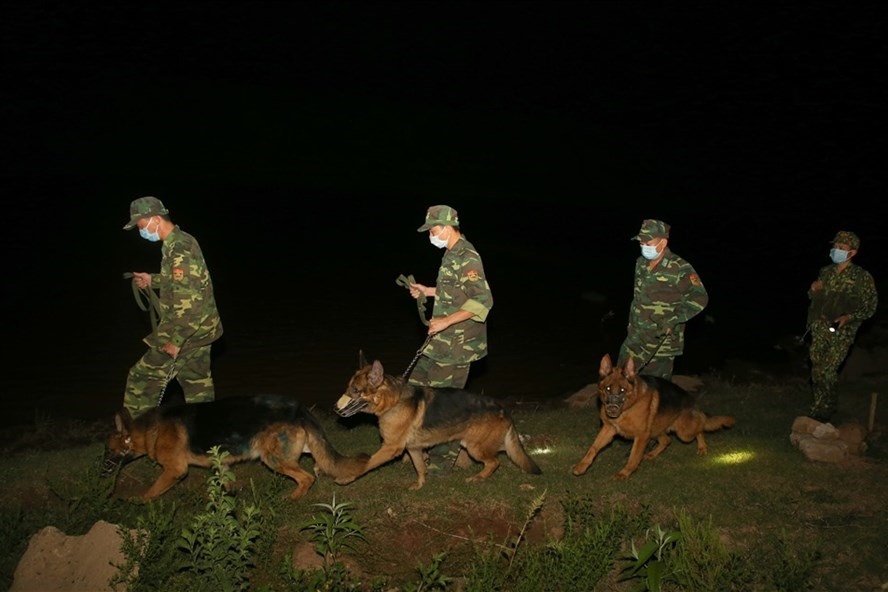 Chó chiến đấu tham gia tuần tra dọc sông Sê Pôn. Ảnh: Hưng Thơ.