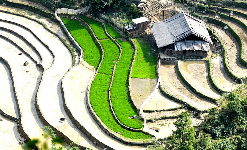 Ruộng bậc thang Sa Pa (Lào Cai) được xếp vào danh sách những ruộng bậc thang đẹp nhất thế giới, được bình chọn bởi tờ Telegraph của Anh.