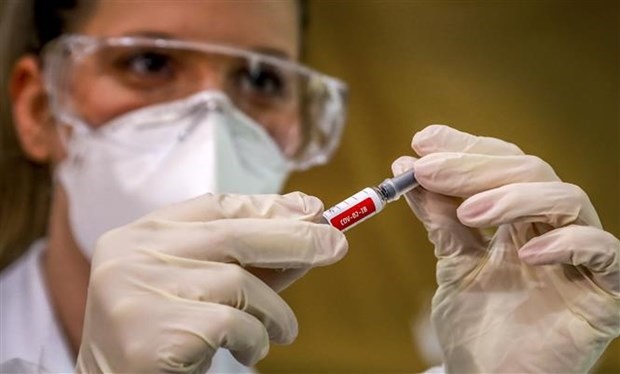 Nhân viên y tế chuẩn bị tiêm thử nghiệm vaccine phòng COVID-19 cho một tình nguyện viên tại Porto Alegre, Brazil, ngày 8/8/2020. (Ảnh: AFP/TTXVN)