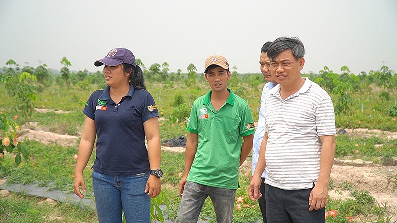 Chị Lê Thị Thúy Vân (ngoài cùng bên trái) cùng lãnh đạo huyện Cam Lộ tìm hiểu mô hình trồng cây dược liệu tại tỉnh Tây Ninh - Ảnh: A.V