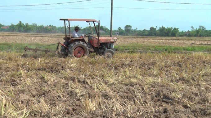Quảng Trị khuyến cáo nông dân tiếp tục chuyển đổi đất lúa kém hiệu quả, không chủ động nước tưới sang cây trồng khác. Ảnh: PVT.