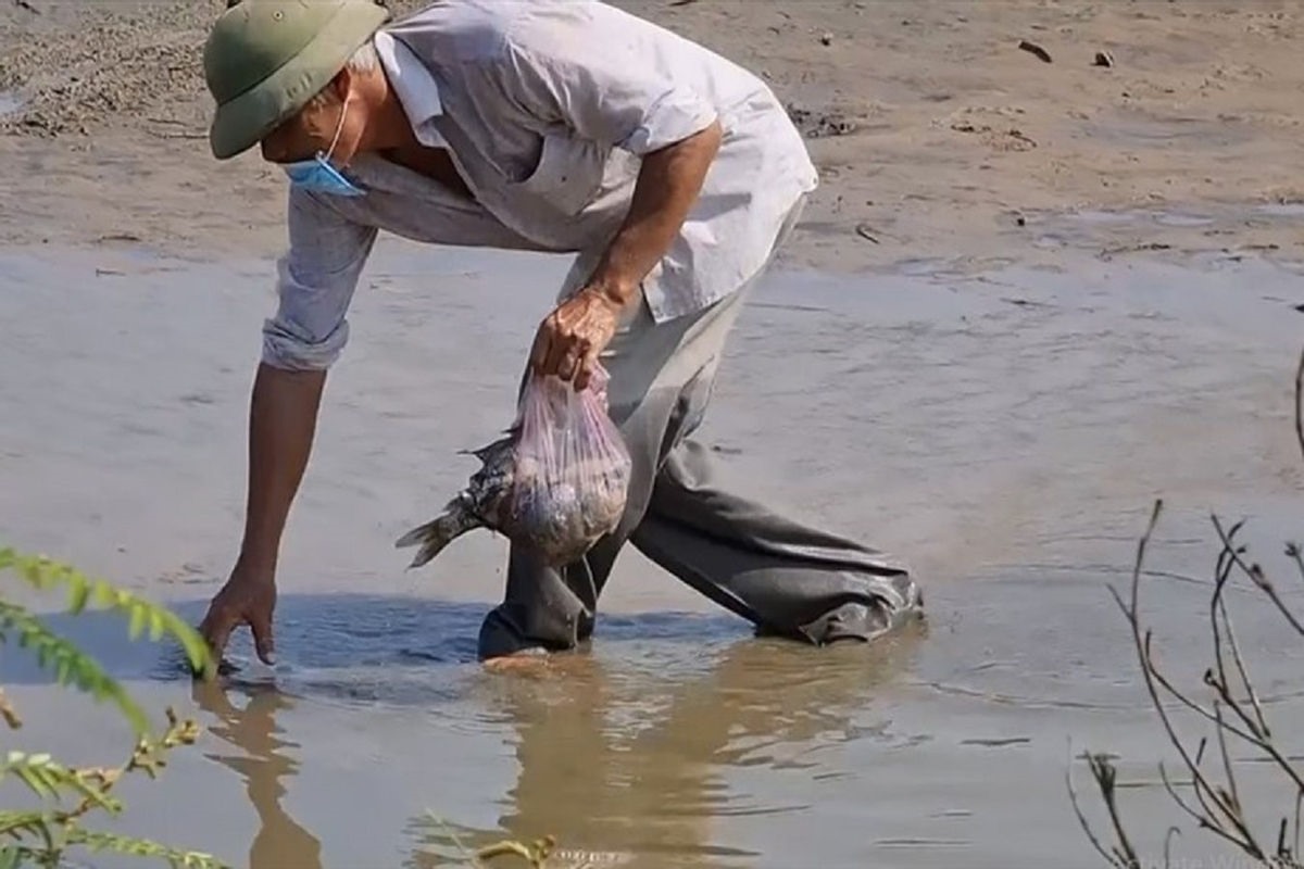 Người dân thu dọn cá chết gần KCN Quán Ngang