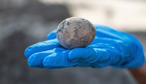 Hình ảnh quả trứng gà 1.000 năm tuổi. (Nguồn: Cơ quan Cổ vật Israel)