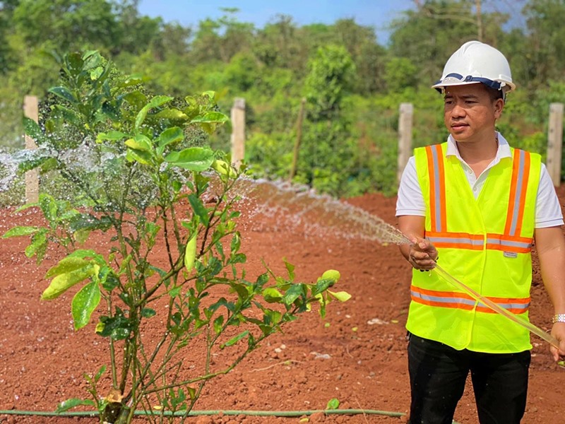 Anh Nguyễn Hữu Tùng chăm sóc cây xanh cho các dự án - Ảnh: T.L