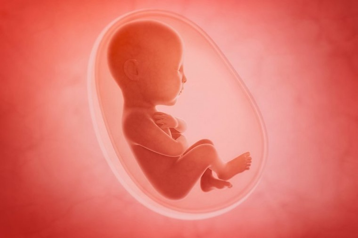 Rủi ro trong thai kỳ: Rủi ro trong thai kỳ không liên quan đến hệ thống nhóm máu ABO, mà liên quan đến yếu tố Rhesus (Rh). Nếu thai nhi có yếu tố Rh khác so với thai phụ, thai phụ có thể gặp các biến chứng thai kỳ nguy hiểm.