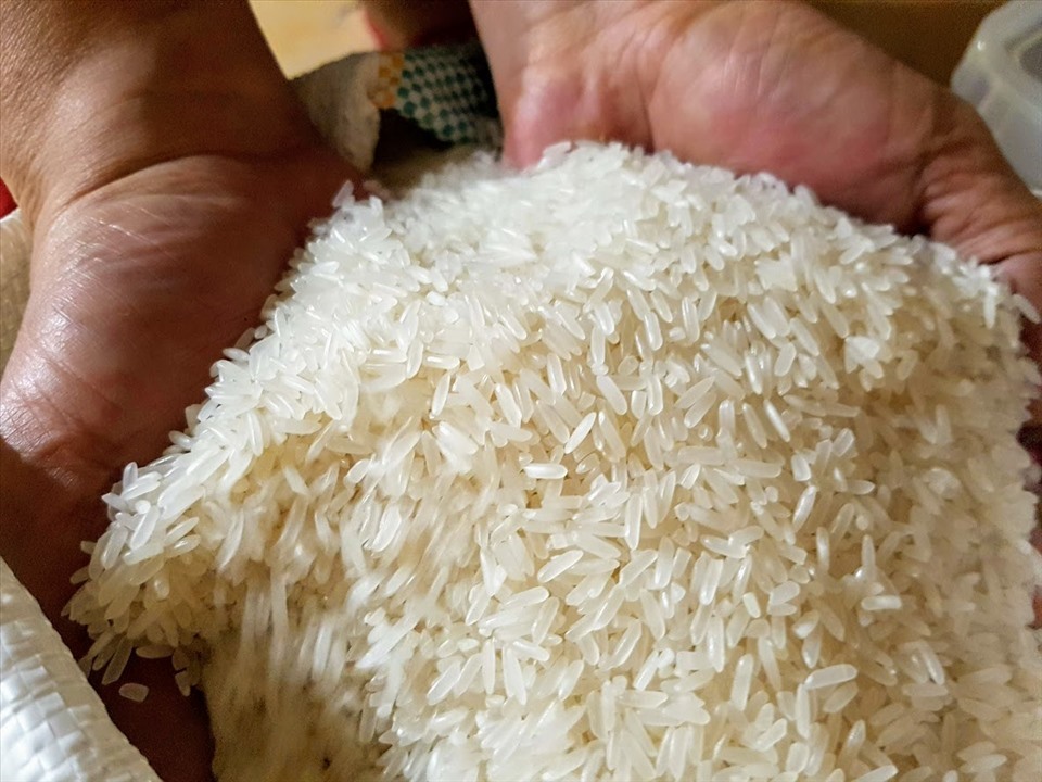 Chất lượng gạo xuất khẩu của Việt Nam chinh phục nhiều thị trường. Ảnh minh họa: Vũ Long