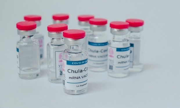 Vaccine ChulaCov19 của Thái Lan. (Nguồn: sanook.com)