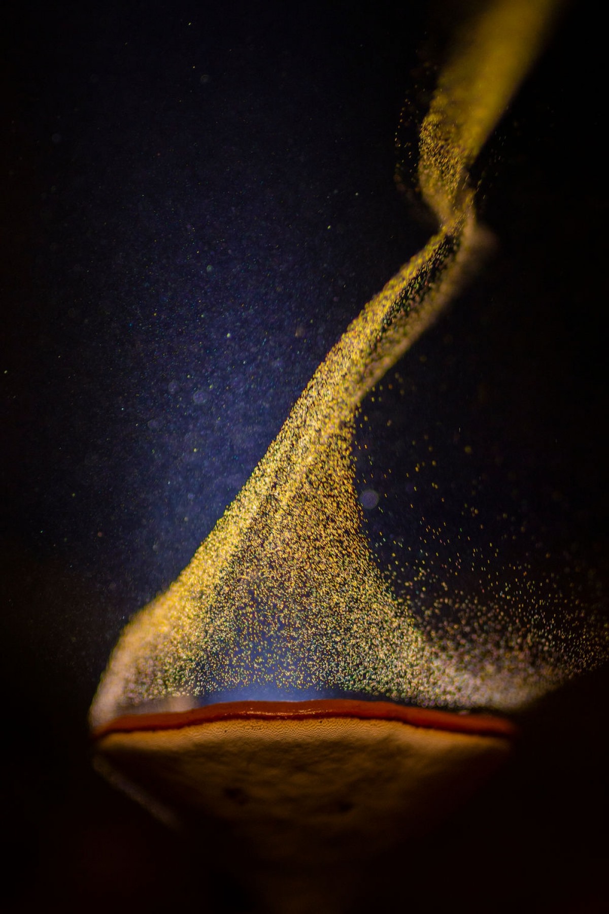 Bức ảnh “Chiếc Cốc lửa” của tác giả Sarang Naik chụp tại Toplepada, Ấn Độ cho thấy khoảnh khắc độc đáo khi một cây nấm đang phát tán bào tử dưới ánh đèn.