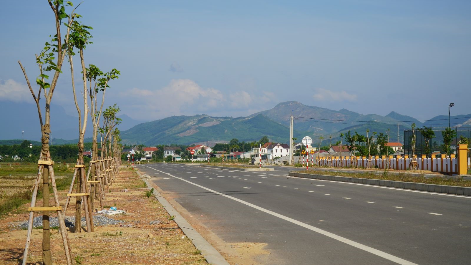 Cam Lộ trồng cây kèn hồng dọc tuyến đường liên xã Cam Hiếu, thị trấn Cam Lộ