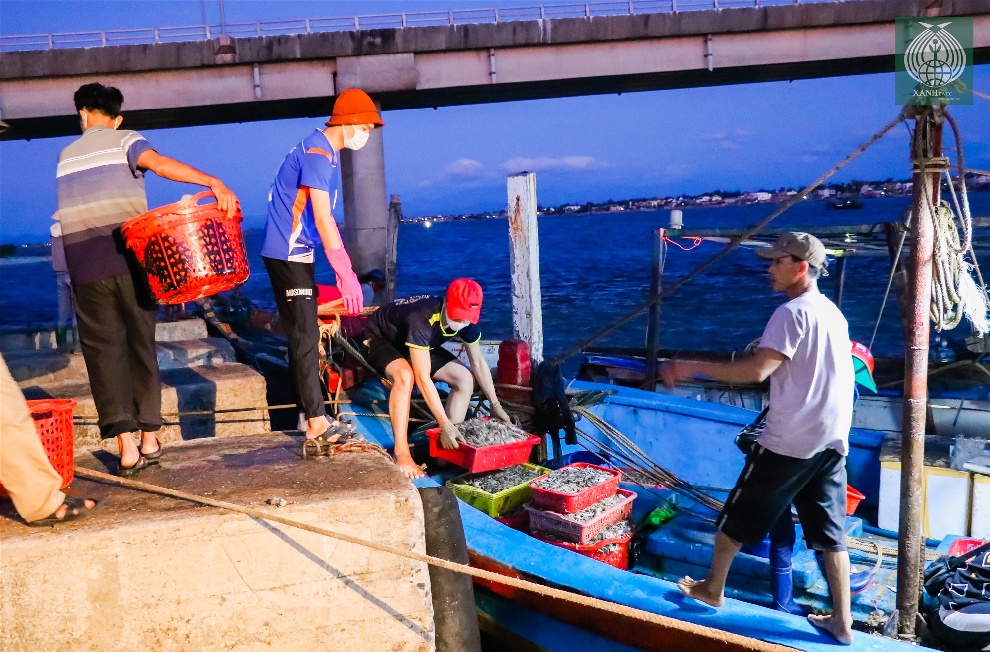 Từ khoảng 4h sáng hàng này, khi thuyền cập bến cũng là lúc chợ đầu mối thủy, hải sản lớn nhất tỉnh Quảng Trị bắt đầu diễn ra rộn ràng
