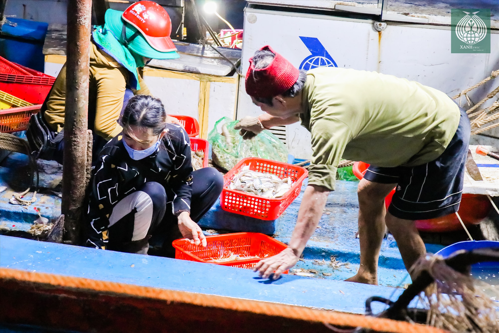 Từ khoảng 4h sáng hàng này, khi thuyền cập bến cũng là lúc chợ đầu mối thủy, hải sản lớn nhất tỉnh Quảng Trị bắt đầu diễn ra rộn ràng