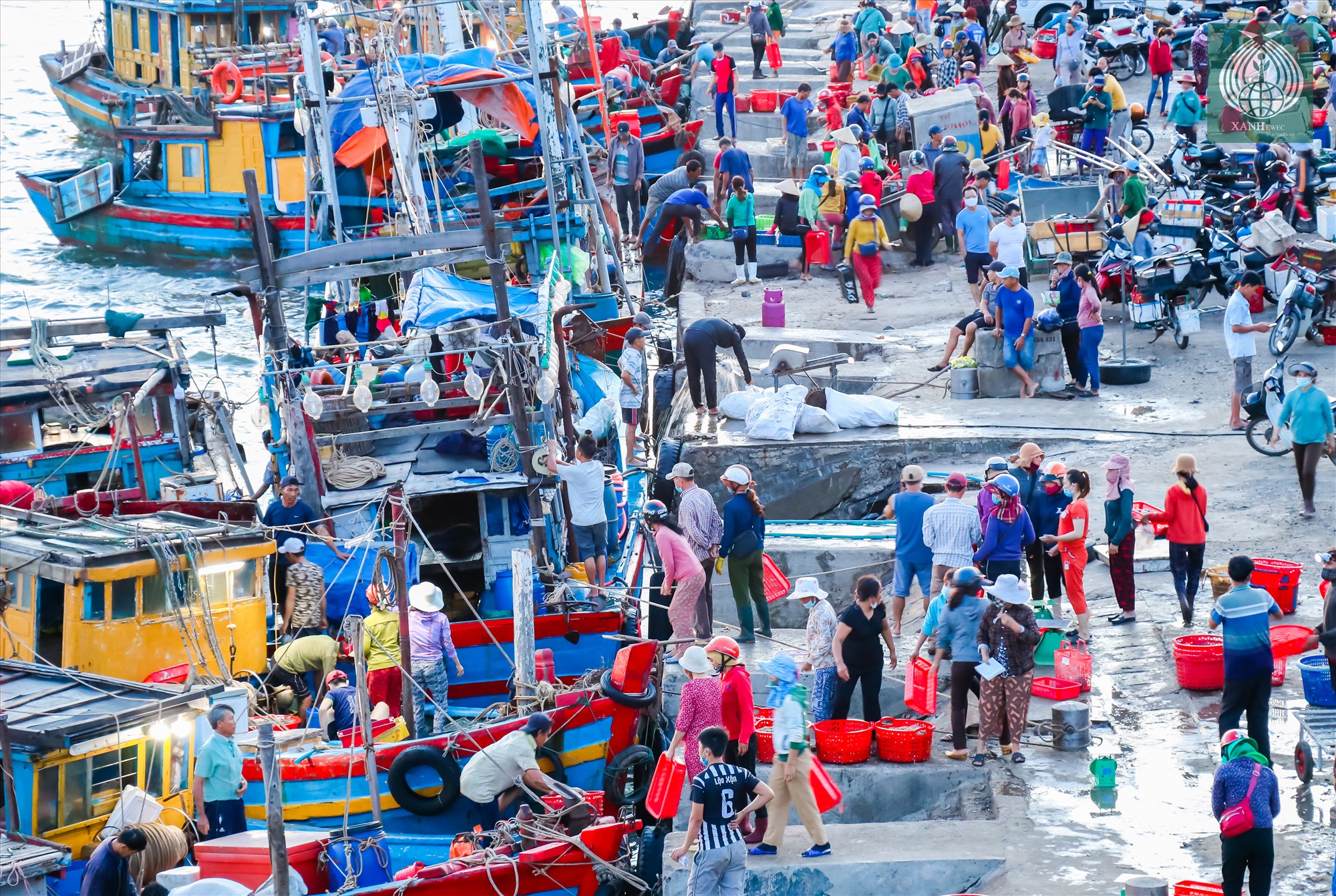 Cảng cá Cửa Việt tại xã Triệu An trở nên nhộn nhịp vào thời khắc rạng sáng.
