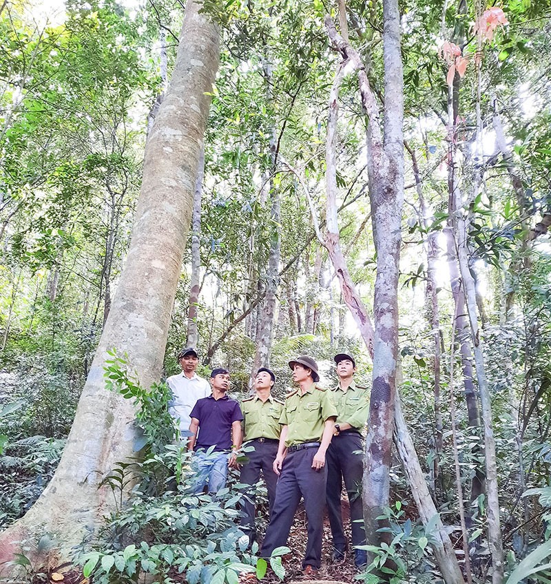 Hạt Kiểm lâm Hướng Hóa phối hợp với người dân triển khai công tác bảo vệ rừng - Ảnh: H.N.K