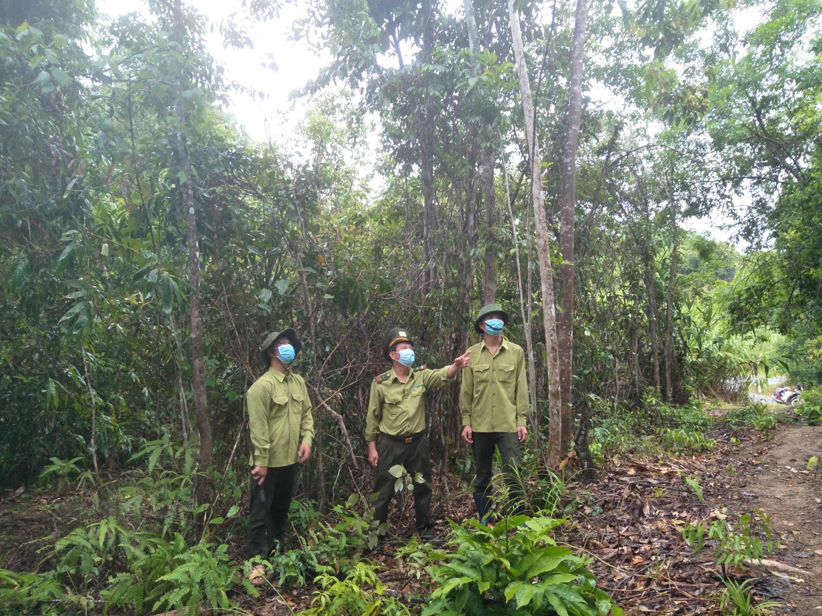 Lực lượng kiểm lâm địa bàn thường xuyên tuần tra, bảo vệ rừng