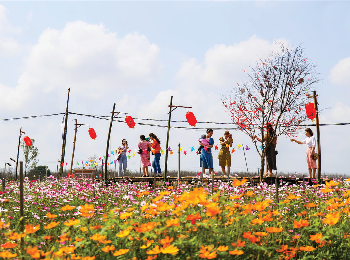 Mùa xuân này, vườn hoa Òm Đi ở Gio An thu hút rất đông du khách đến check-in - Ảnh Thiên Sơn