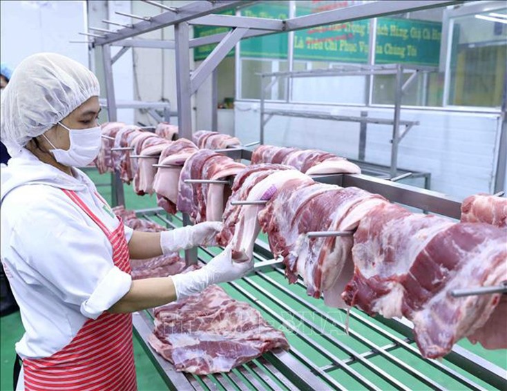 Chế biến sản phẩm thịt lợn tại Công ty Cổ phần Công nghệ thực phẩm Vinh Anh, huyện Thường Tín (Hà Nội). Ảnh minh họa: Vũ Sinh/TTXVN