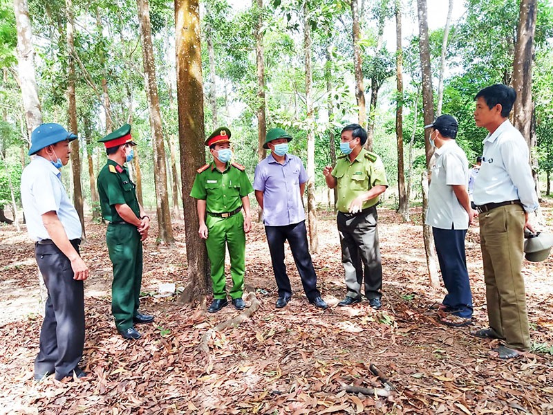 Lực lượng chức năng của thành phố Đông Hà phối hợp chặt chẽ trong công tác bảo vệ, phát triển rừng - Ảnh: A.Q