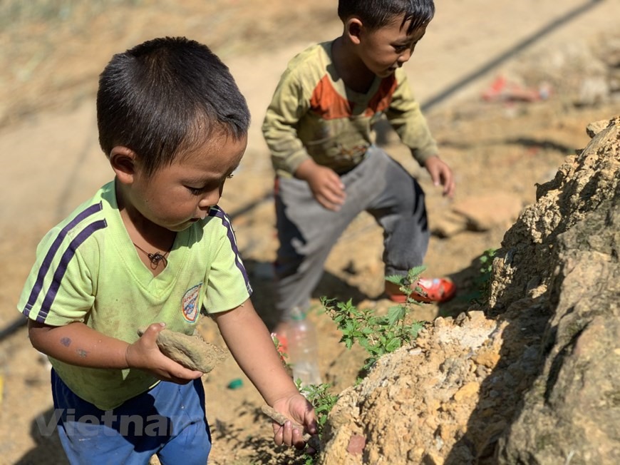 Còn những đứa trẻ ở Y Tý (Lào Cai) ít điều kiện hơn thì dù có trưa nắng chói chang cũng rủ nhau ra đồng đào hang dế... (Ảnh: Mai Mai/Vietnam+)
