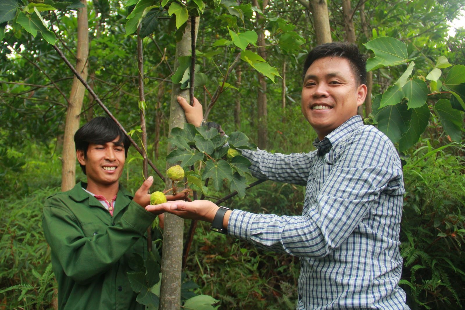 Nụ cười người trồng bên cây trẩu ra quả trên vùng đất Hướng Linh từng bị nhiễm chất độc hóa học nặng nề trong chiến tranh. Ảnh: Xuân Dũng