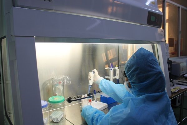 Nhân viên xét nghiệm của Trung tâm Kiểm soát bệnh tật tỉnh thực hiện xét nghiệm SARS-CoV-2 - Ảnh: Q.H