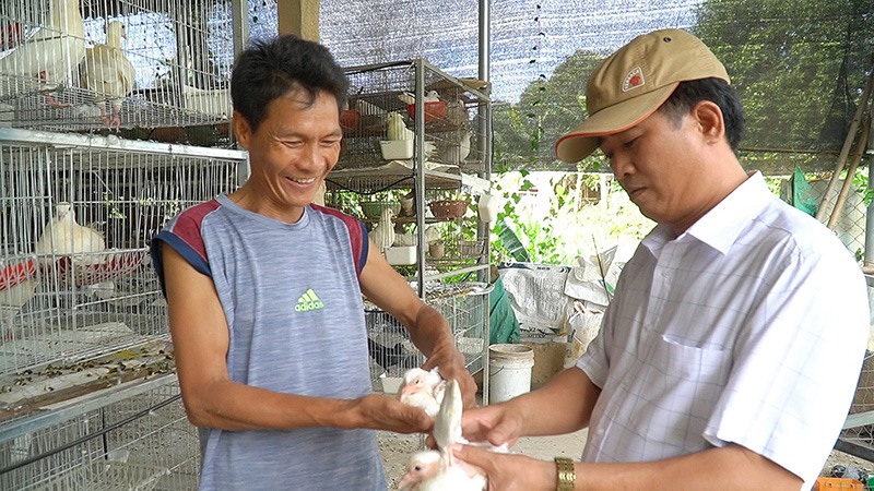 Anh Trần Văn Định (bên trái) hướng dẫn kỹ thuật nuôi bồ câu cho khách -Ảnh: ANH VŨ