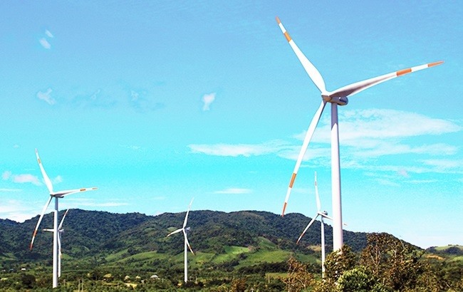 Quảng Trị duyệt phương án nộp tiền trồng rừng thay thế tại dự án nhà máy điện gió Hải Anh 1.565 tỷ đồng.