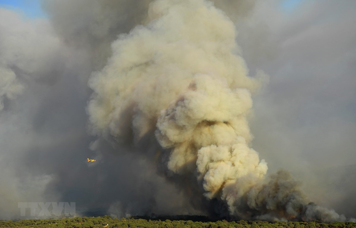 Khói bốc lên tại đám cháy rừng ở vùng Var, miền Nam nước Pháp ngày 17/8/2021.(Ảnh: AFP/TTXVN)