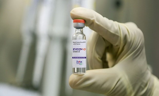 Ấn Độ đã cấp phép sử dụng khẩn cấp vaccine ZyCoV-D. (Nguồn: thenewsminute.com)