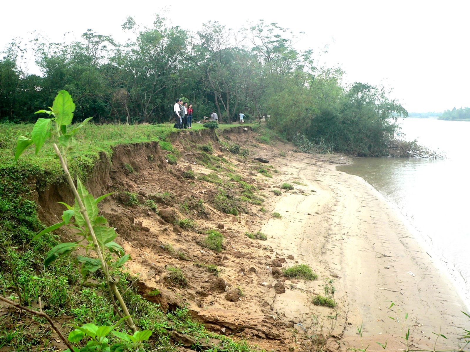 Sạt lở nặng ven sông Thạch Hãn ở huyện Triệu Phong