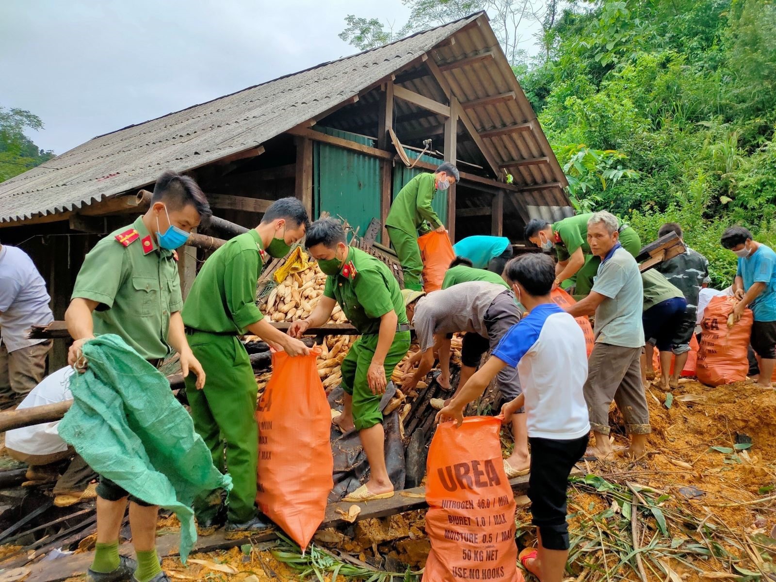 Công an huyện Na Hang (Tuyên Quang) hỗ trợ người dân thôn Khau Phiêng di dời tài sản, hoa màu. Ảnh: Nam Sương/TTXVN.