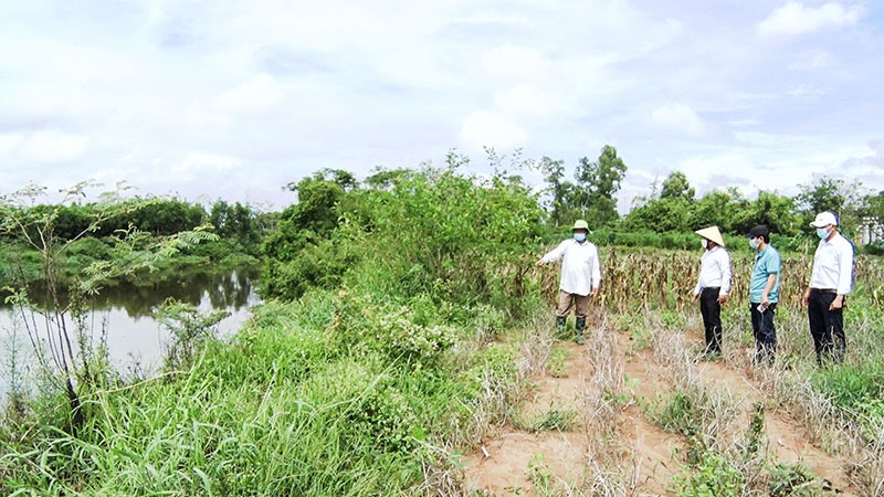 Sạt lở bờ sông làm mất nhiều diện tích đất sản xuất của người dân thôn Đồng Tâm 2- Ảnh: A.Q