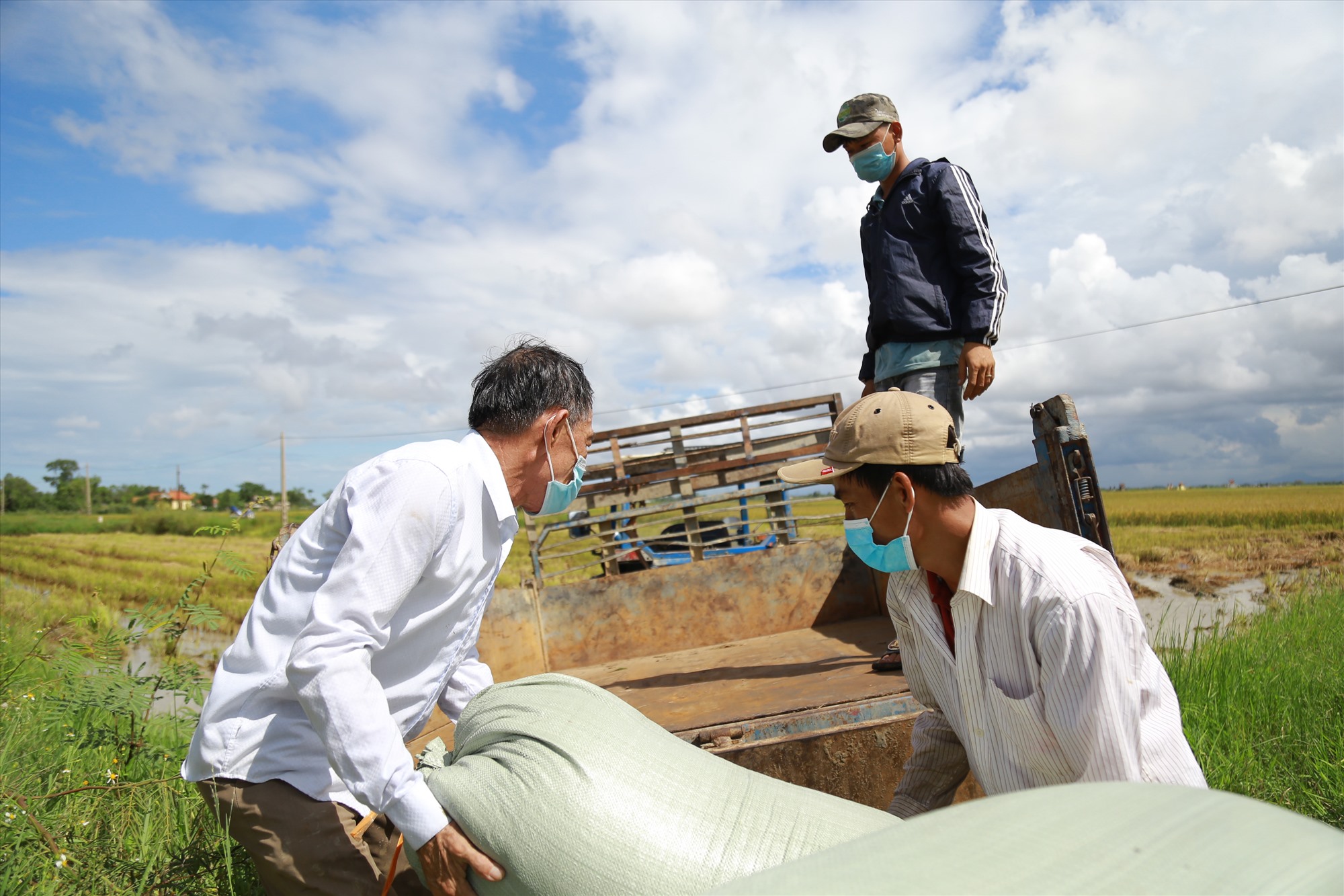 Nông dân xã Gio Quang, huyện Gio Linh khẩn trương thu hoạch lúa để tránh thiệt hại